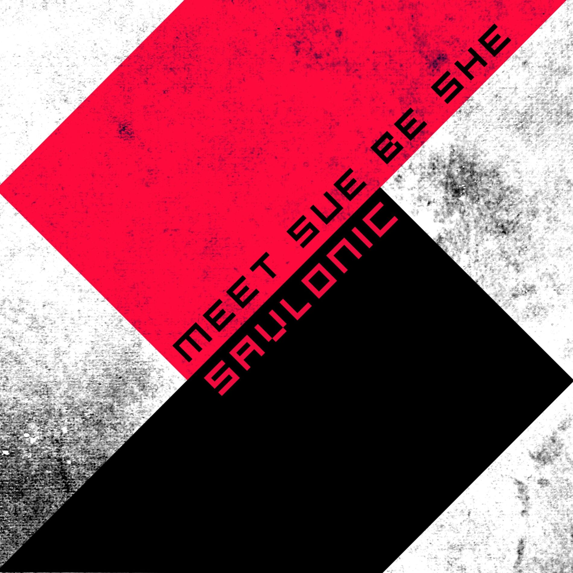 Album cover of Meet Sue Be She