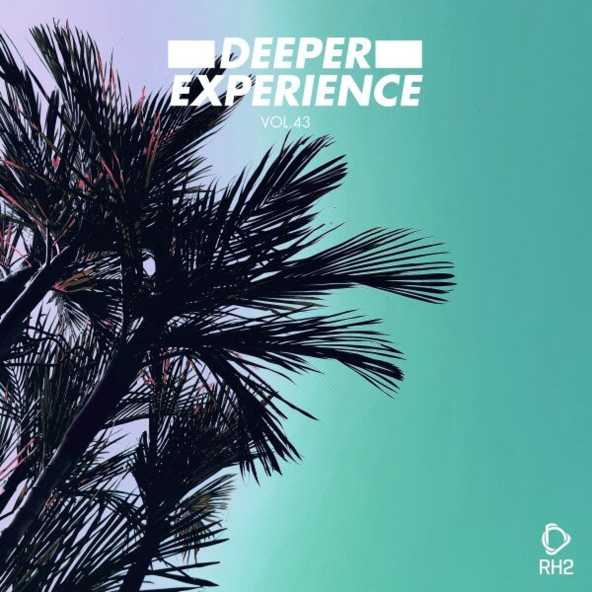 Album cover of Deeper Experience, Vol. 43