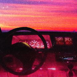 Cover of Turn Back