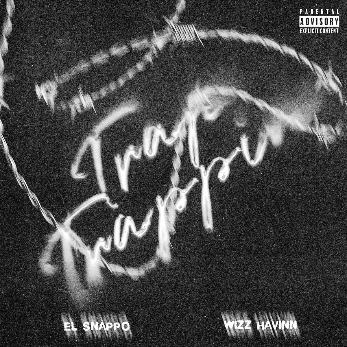 Album cover of Trap Trappin (feat. Wizz Havinn)