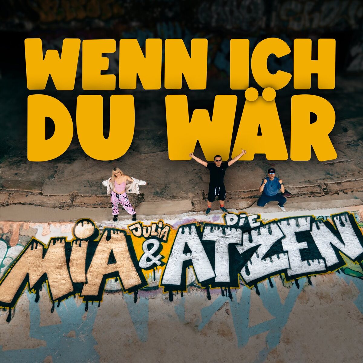 Album cover of Wenn ich du wär