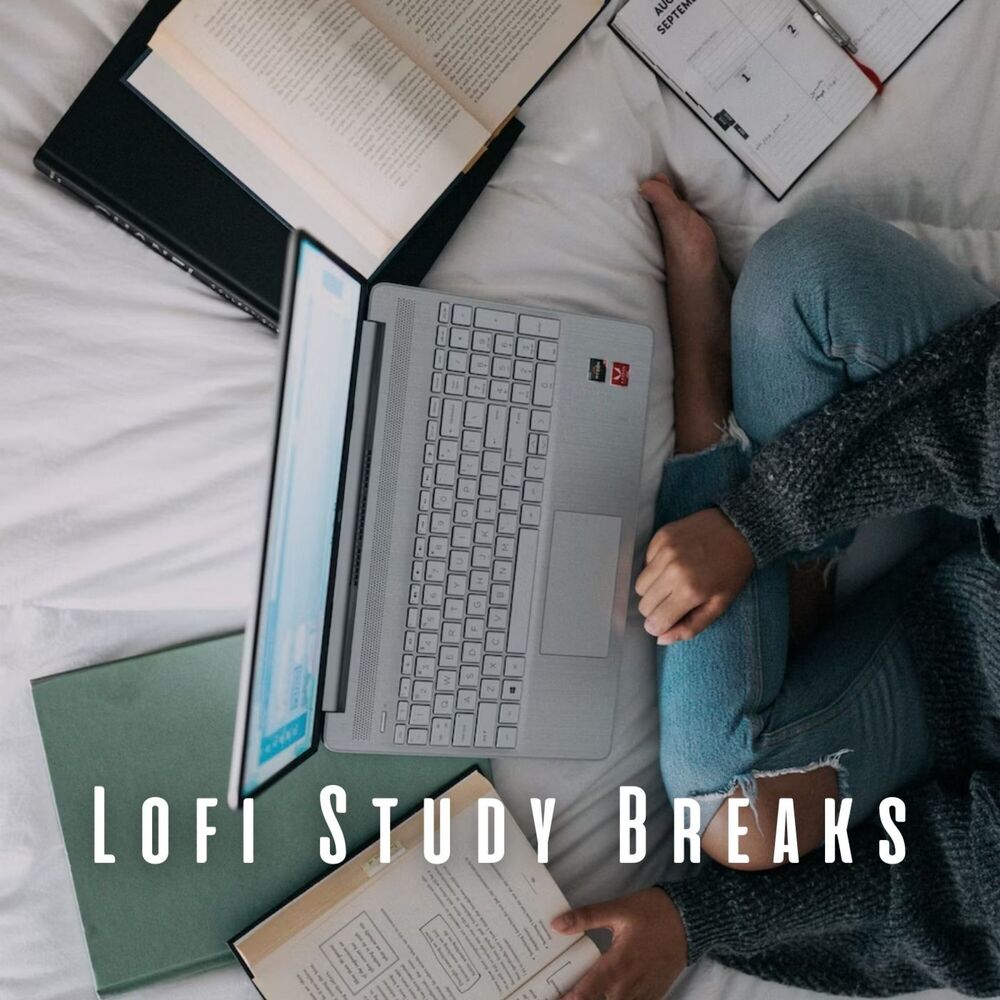 Picture of Lofi Study Breaks: Elevating Productivity and Creativity