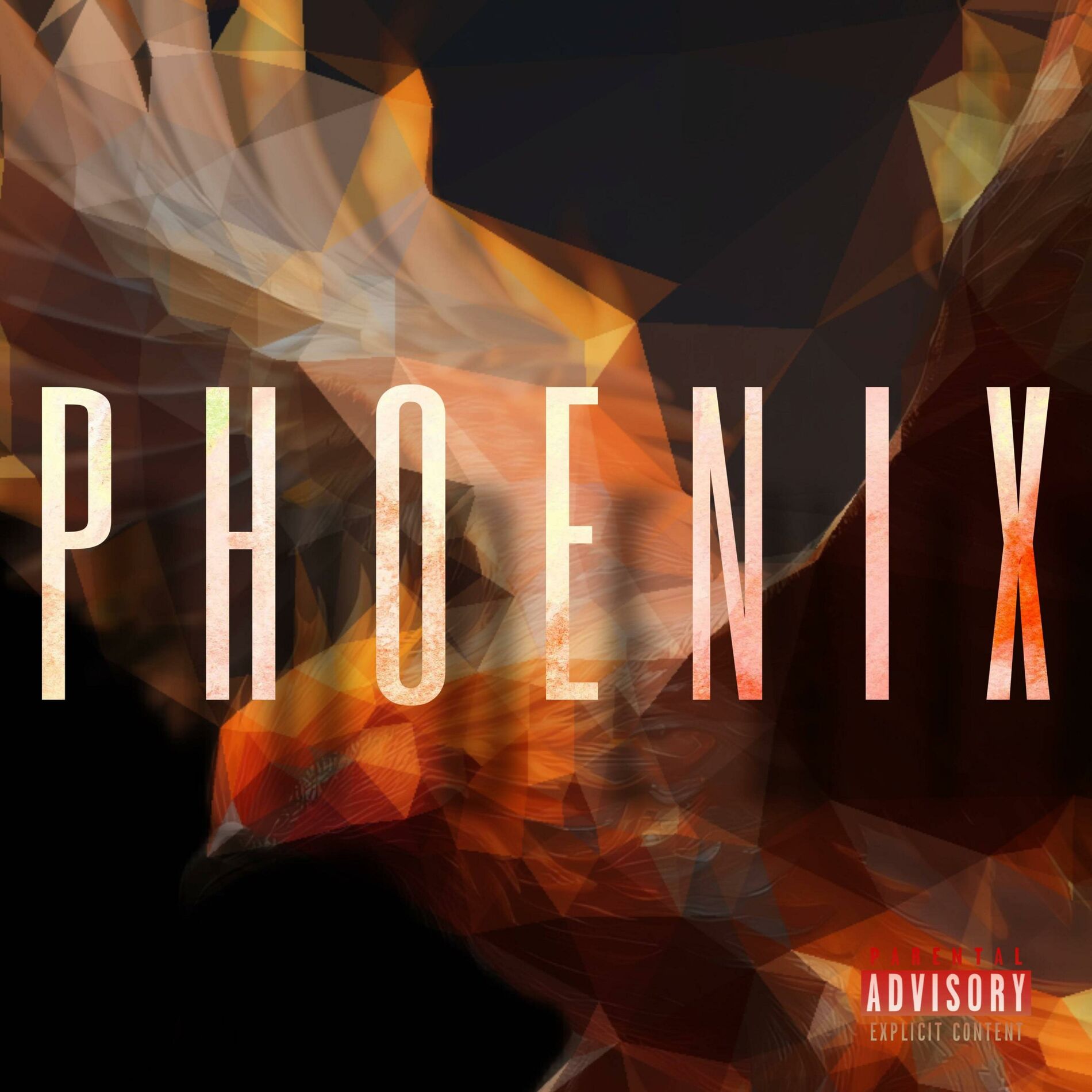 Album cover of PHOENIX