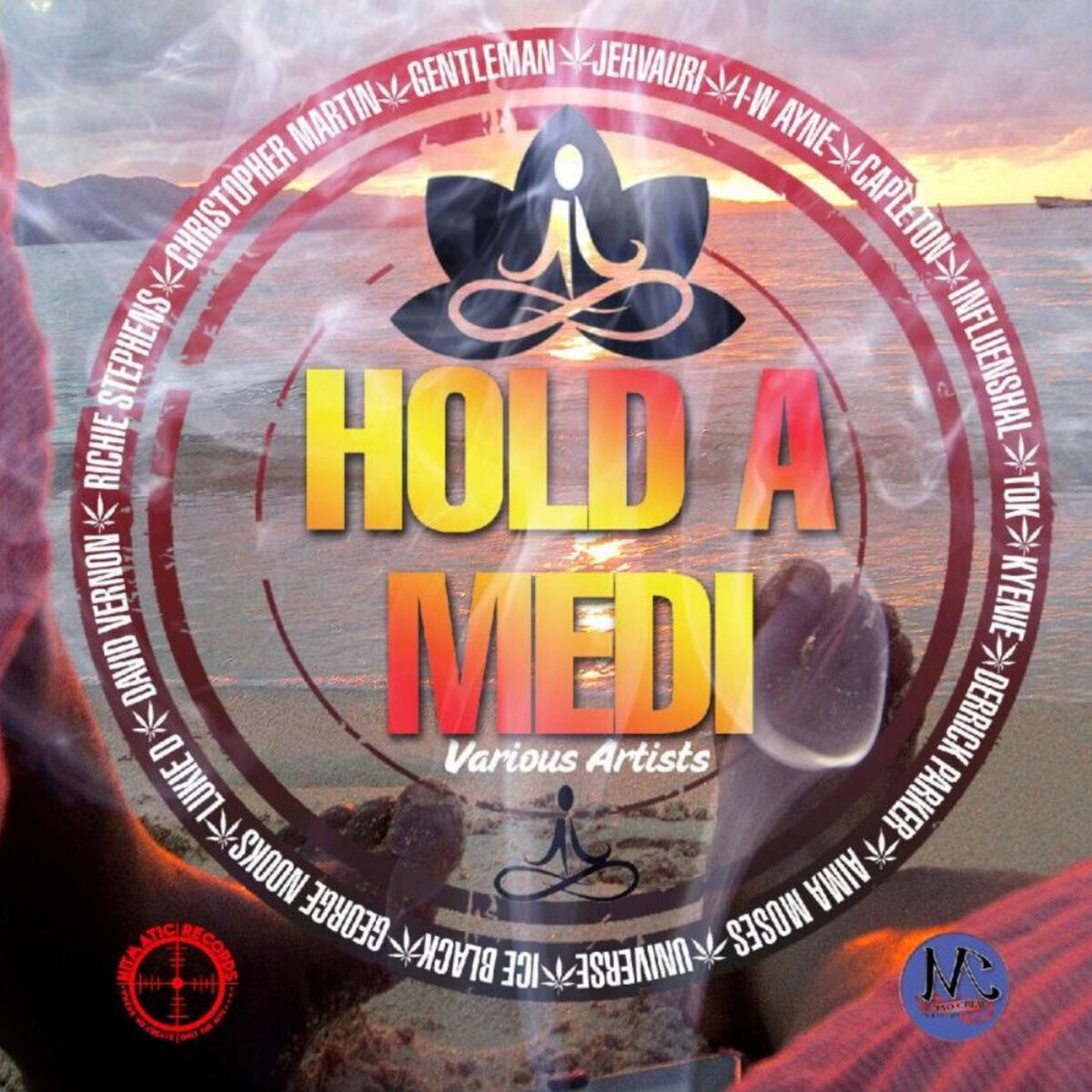 Album cover of Hold a Medi Riddim