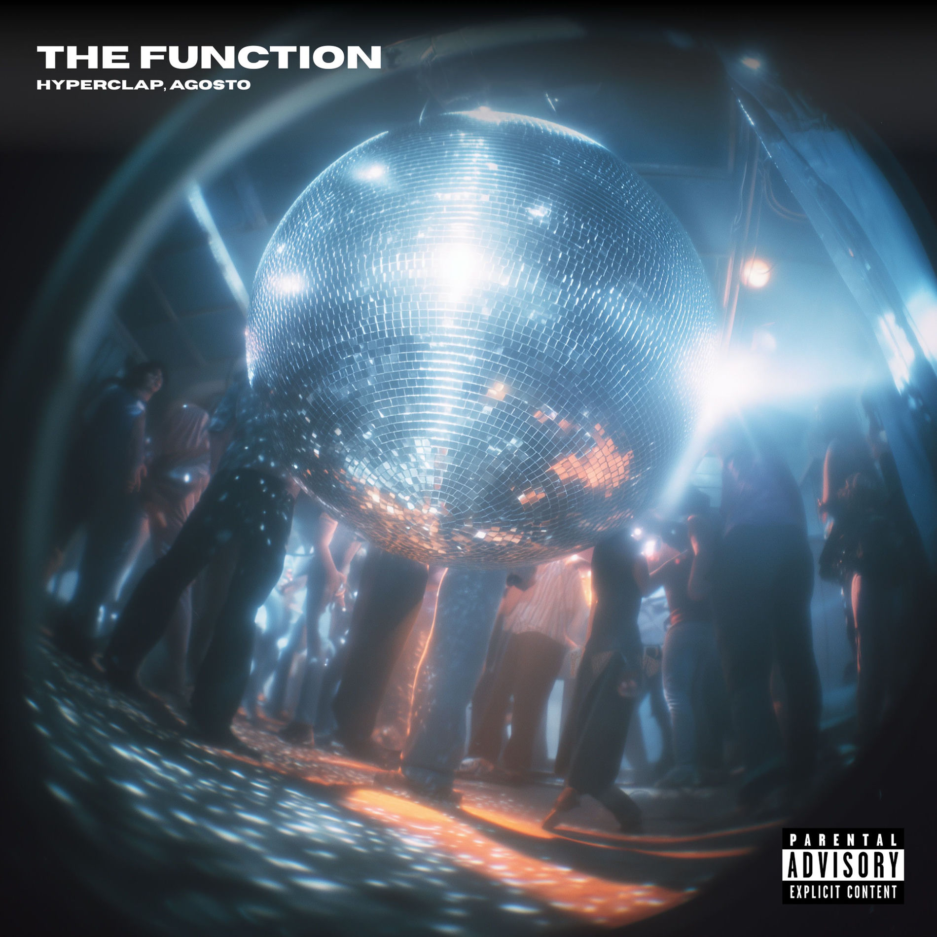 Album cover of The Function