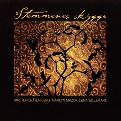 Cover of Stemmenes skygge