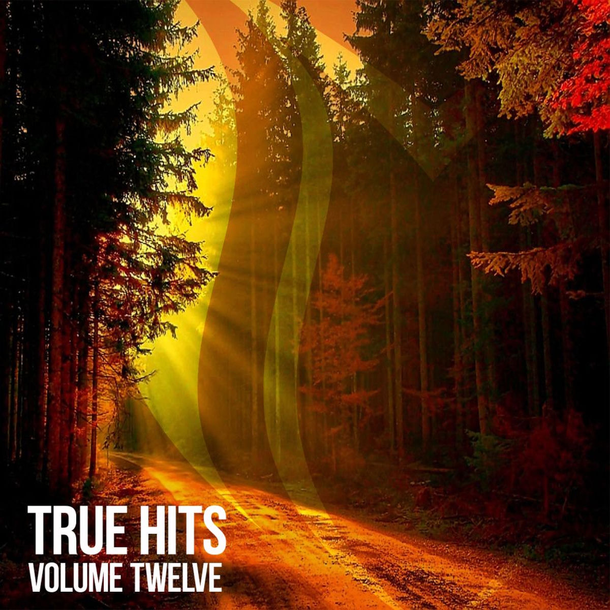 Album cover of True Hits, Vol. 12