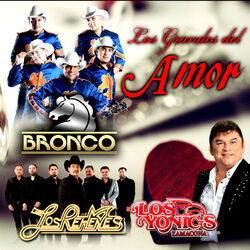 Cover of Los Grandes de Amor