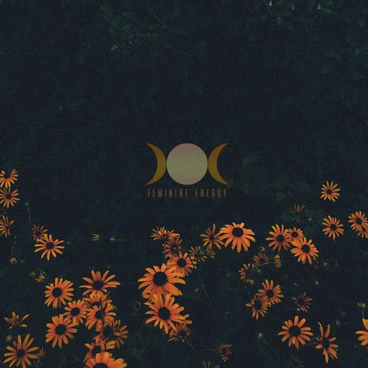 Album cover of Feminine Energy