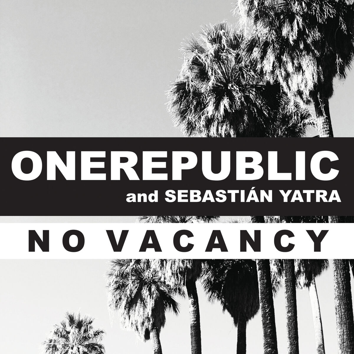 Album cover of No Vacancy