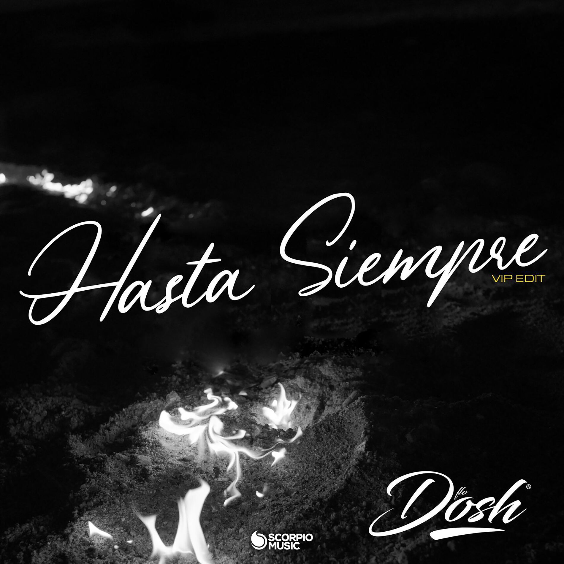 Album cover of Hasta Siempre (VIP Edit)