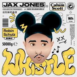 Cover of Whistle (Robin Schulz Remix)