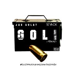 Cover of Goli (Fokke)