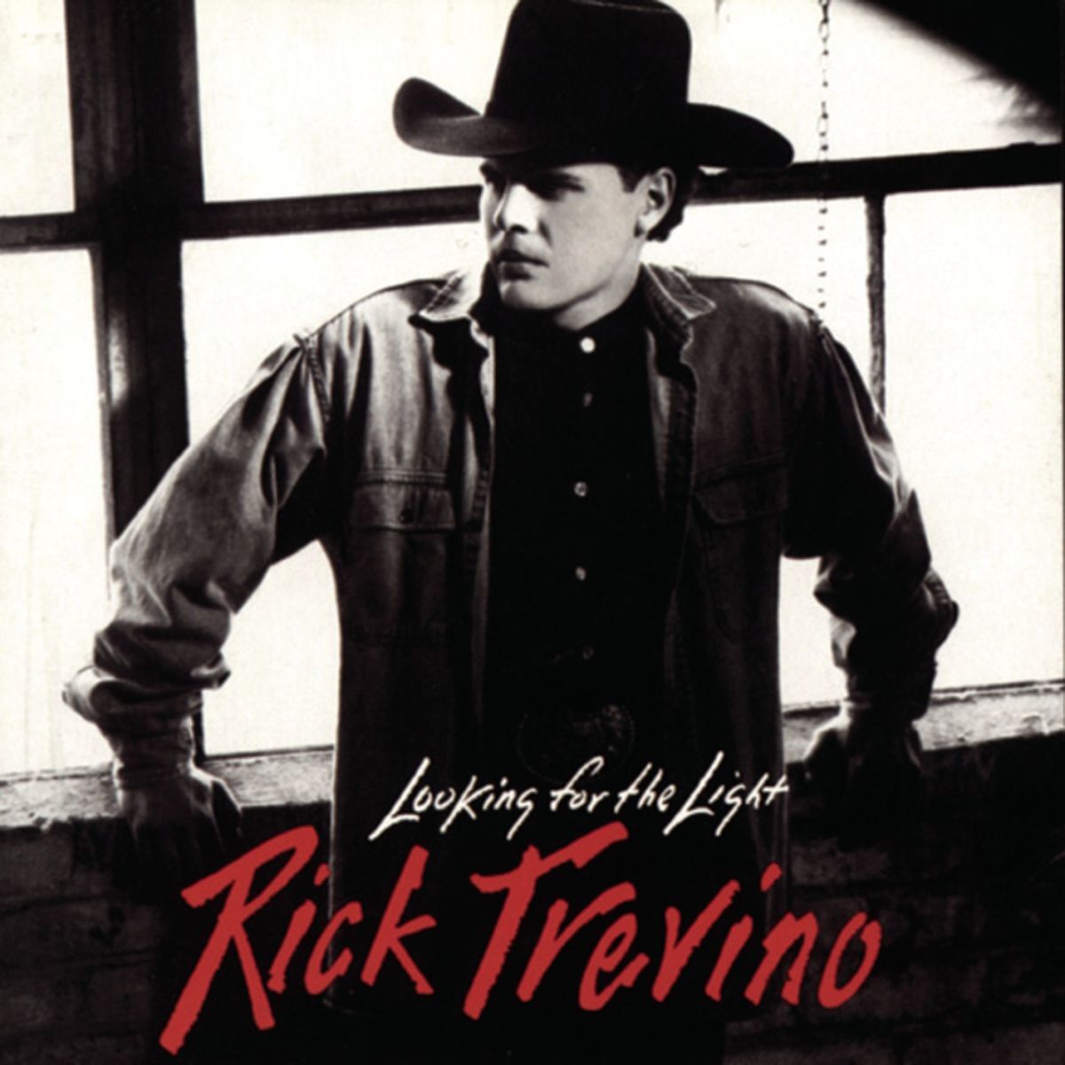 Album cover of Looking For The Light
