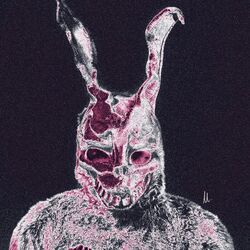 Cover of Donnie DarKo