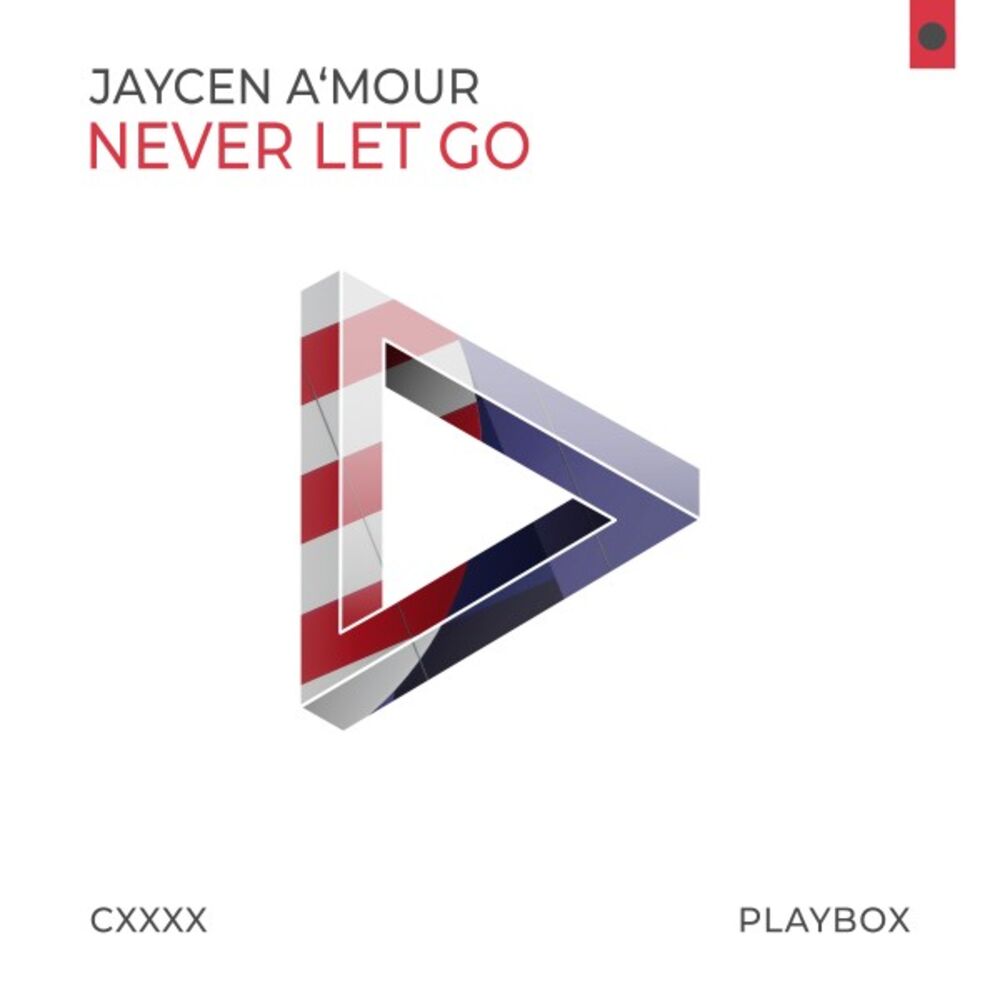 Picture of Never Let Go