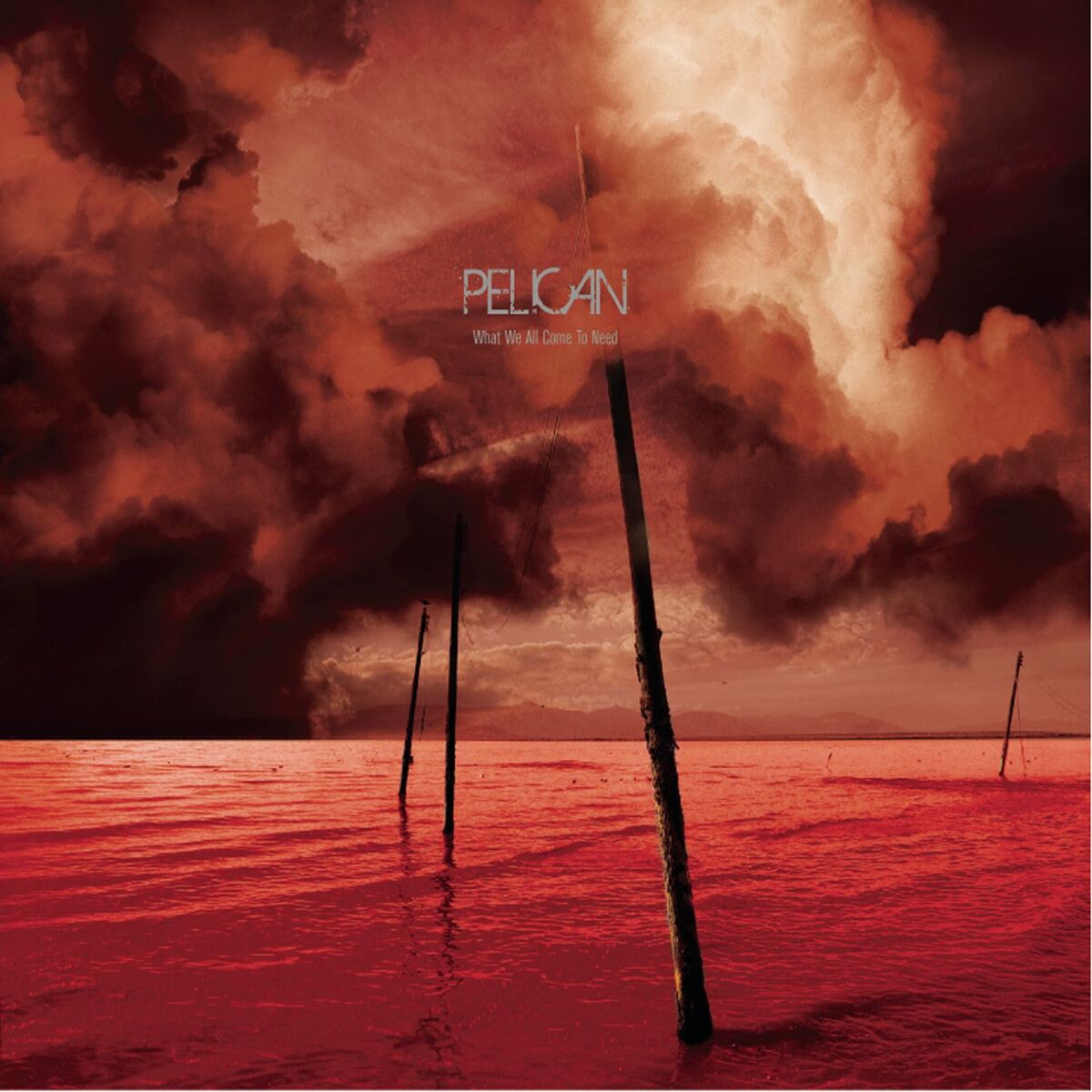 Album cover of Specks of Light