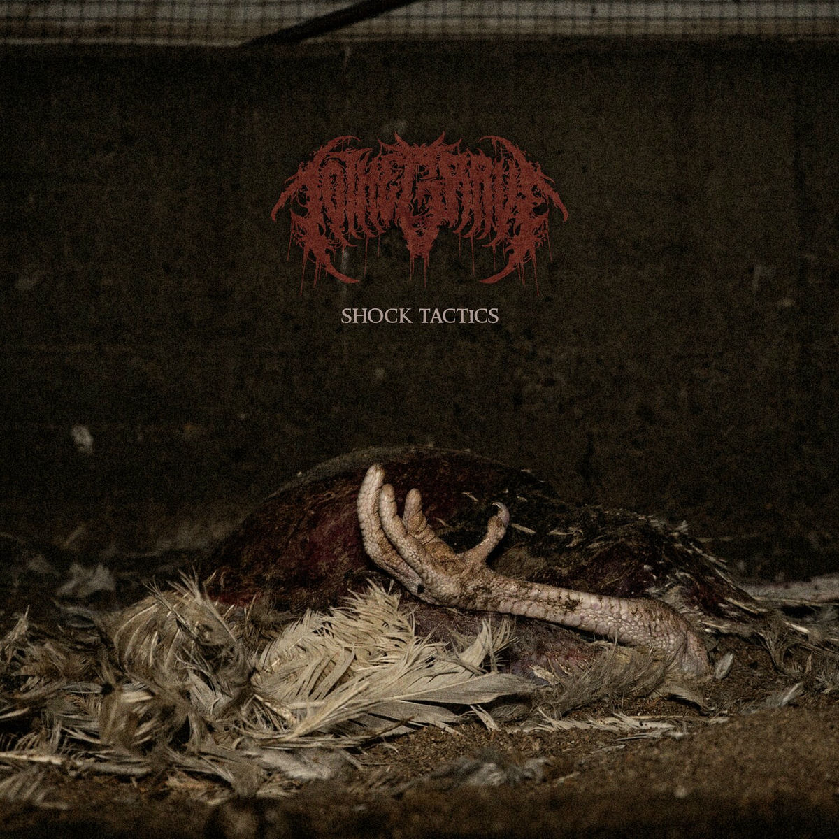 Album cover of Shock Tactics (1000v)