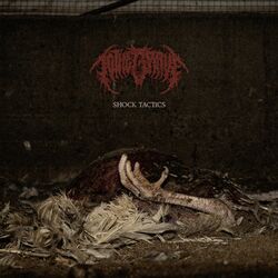 Cover of Shock Tactics (1000v)