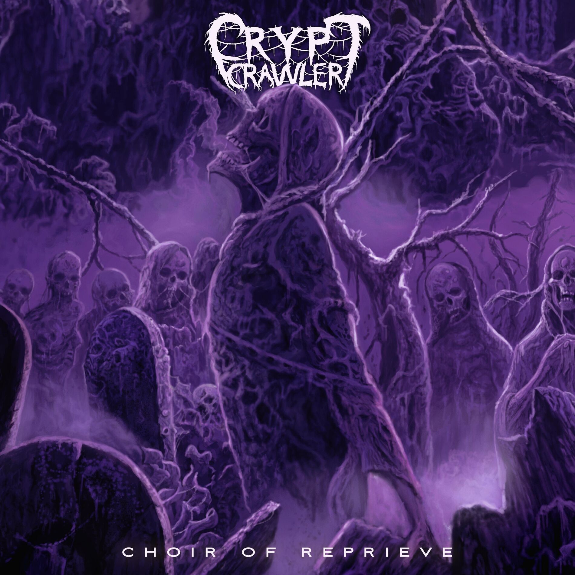 Album cover of Choir of Reprieve