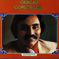 Cover of Diferente