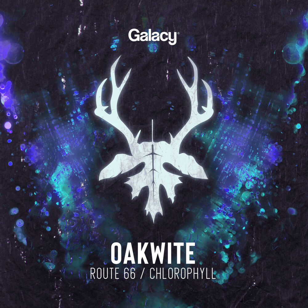 Picture of Route 66 / Chlorophyll