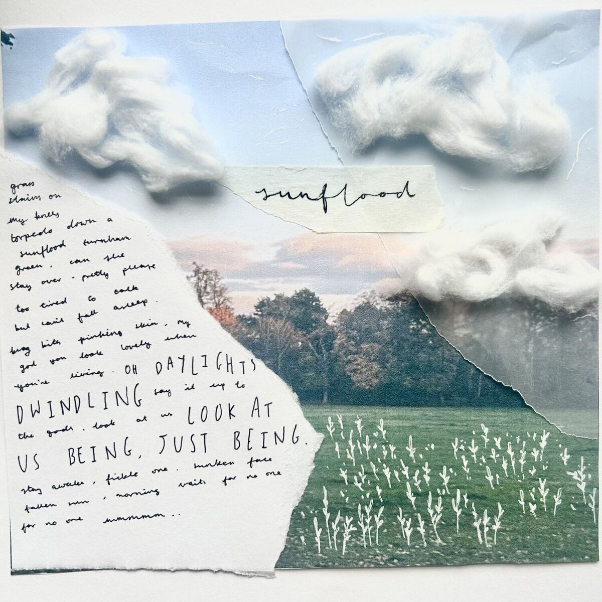 Album cover of sunflood