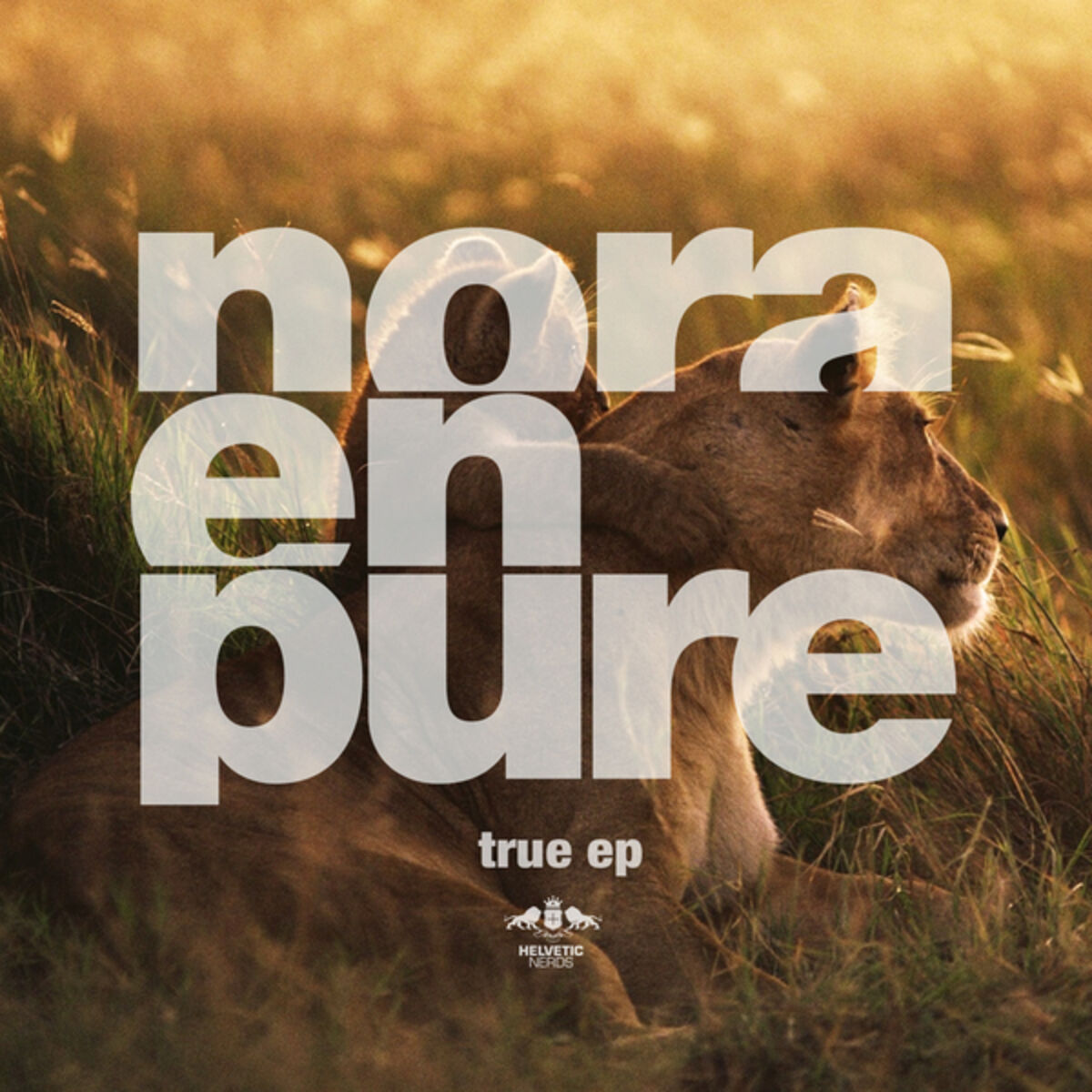 Album cover of True