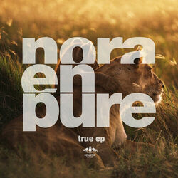 Cover of True