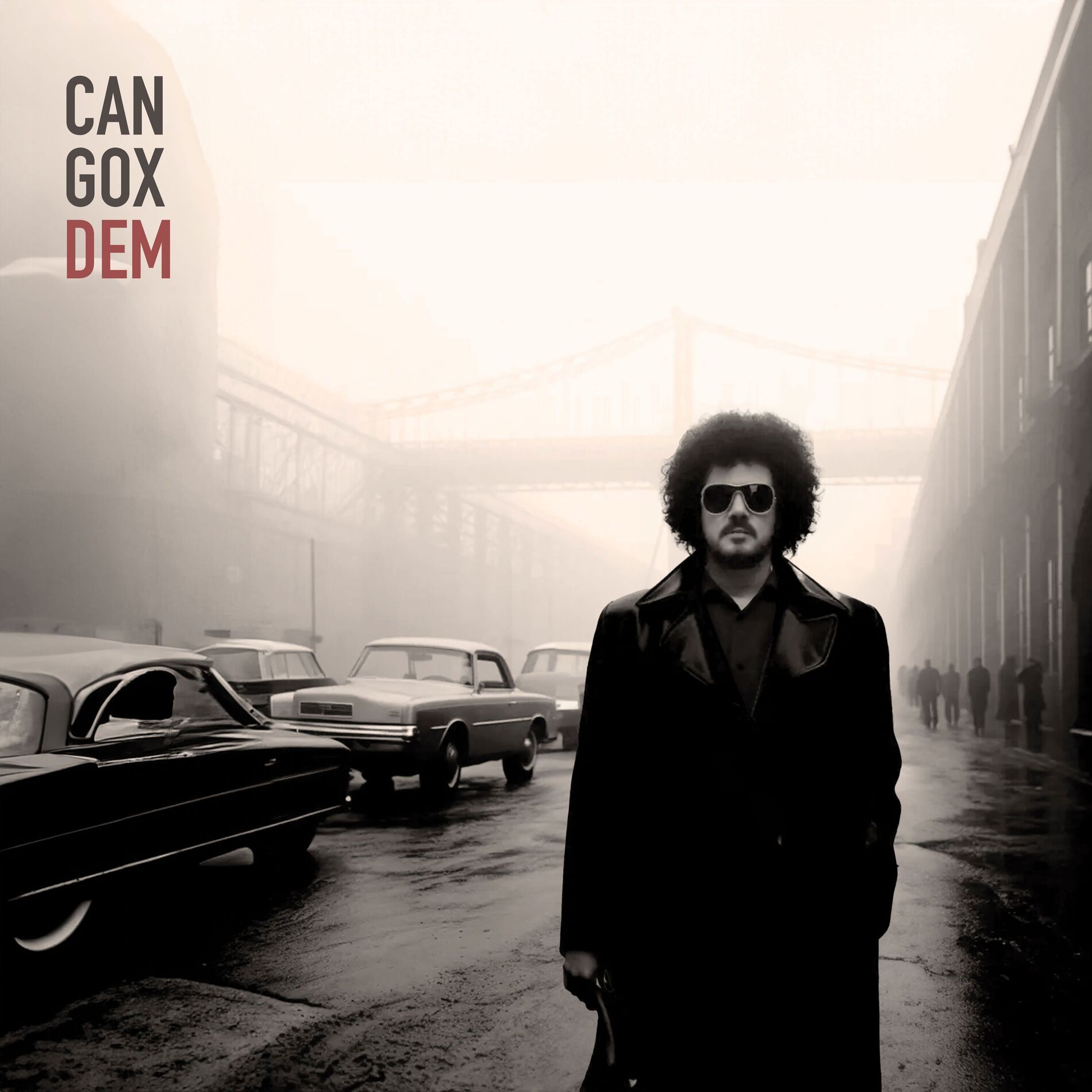 Album cover of Leylim Ley