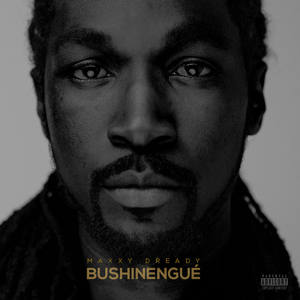 Picture of Bushinengué