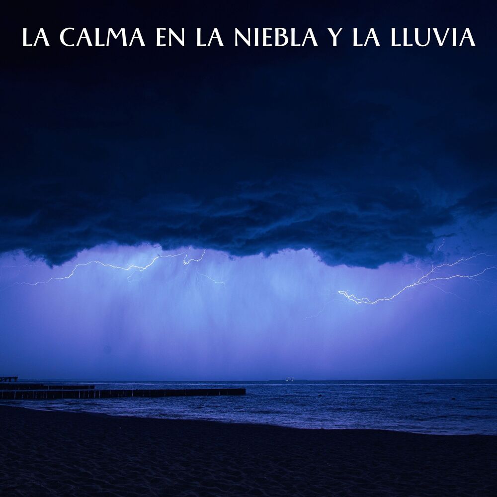 Picture of La Calma En La Niebla Y La Lluvia