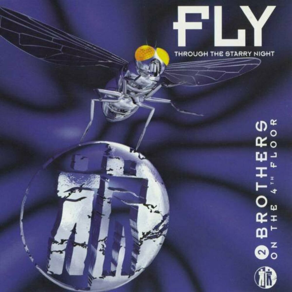 Picture of Fly (Through The Starry Night)