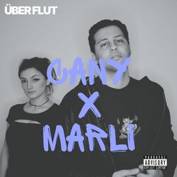 Cover of Über Flut