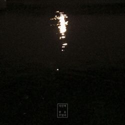 Cover of The Last Night