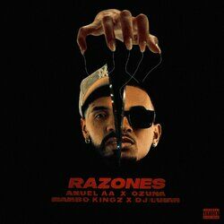 Cover of Razones