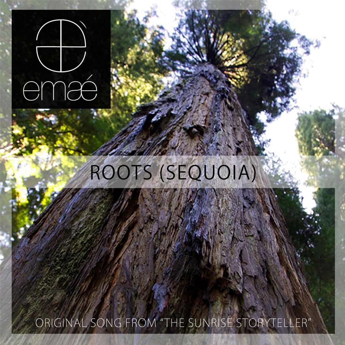 Album cover of Roots (Sequoia) [From 