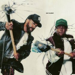 Cover of What You Expect