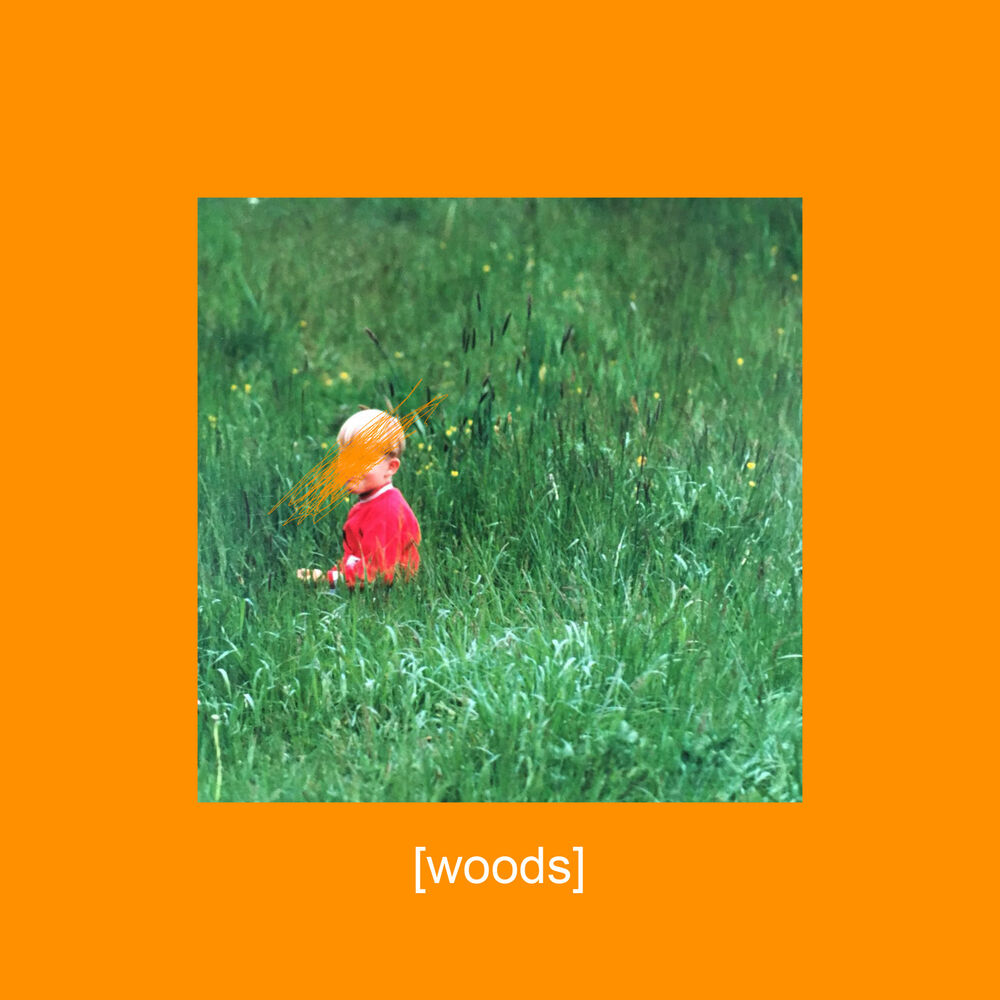 Picture of Woods