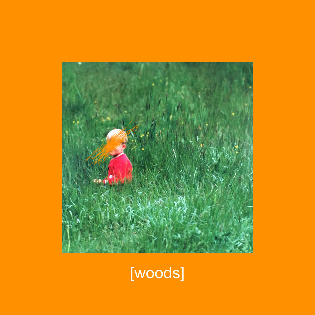 Album cover of Woods