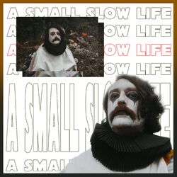 Cover of A Small Slow Life