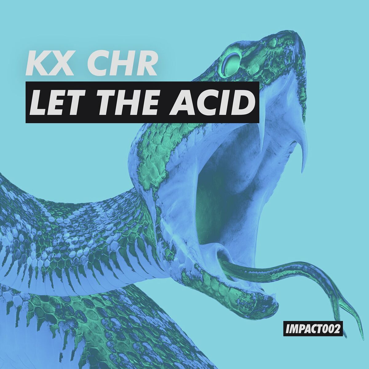 Album cover of Let the Acid