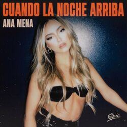 Cover of Cuando la noche arriba