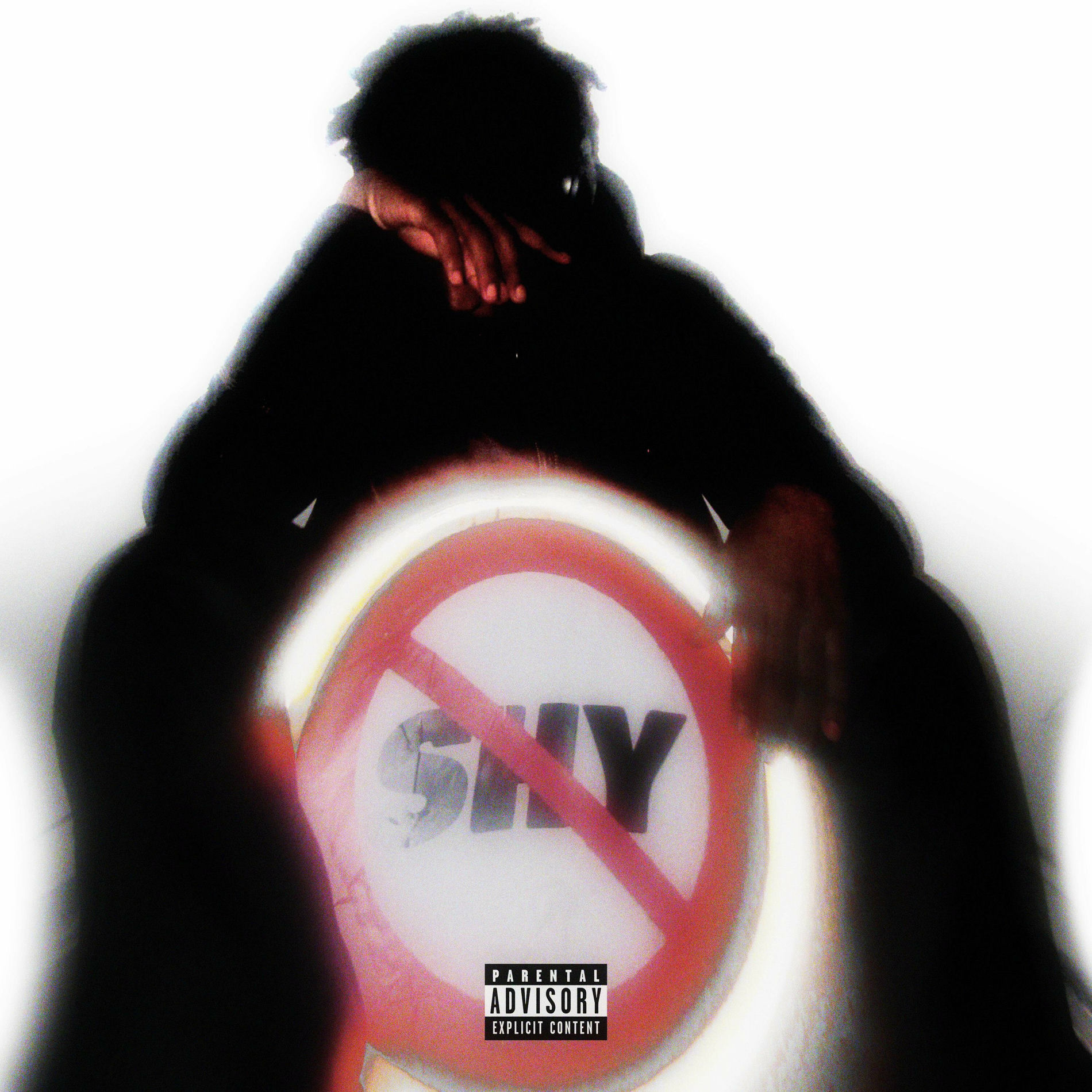 Album cover of Magicien d'Oz (feat. HOUDI)