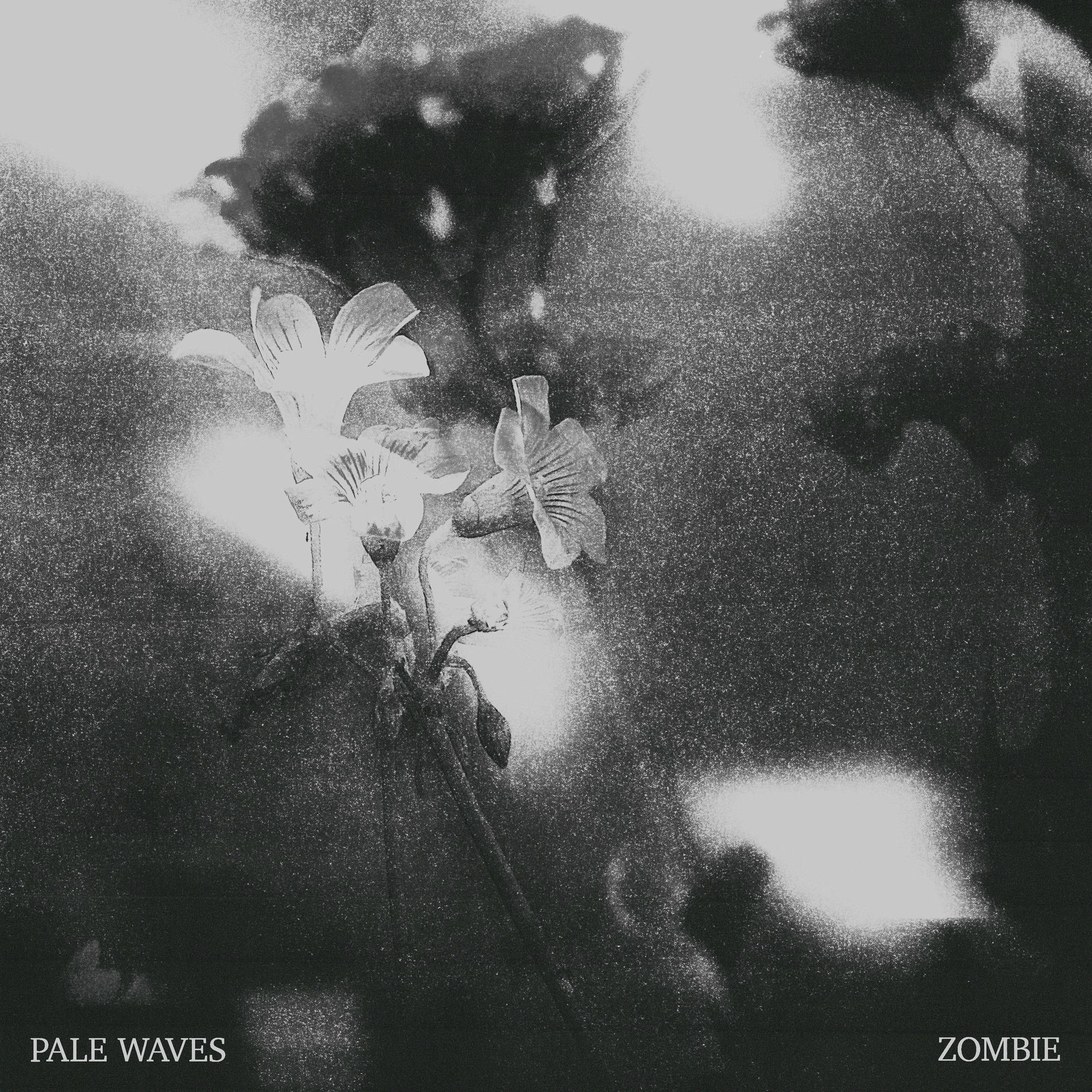 Album cover of Zombie