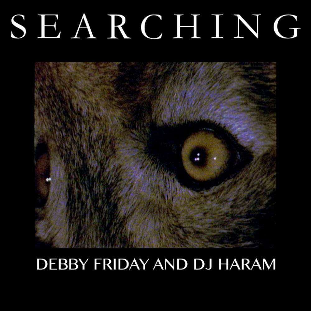 Picture of Searching