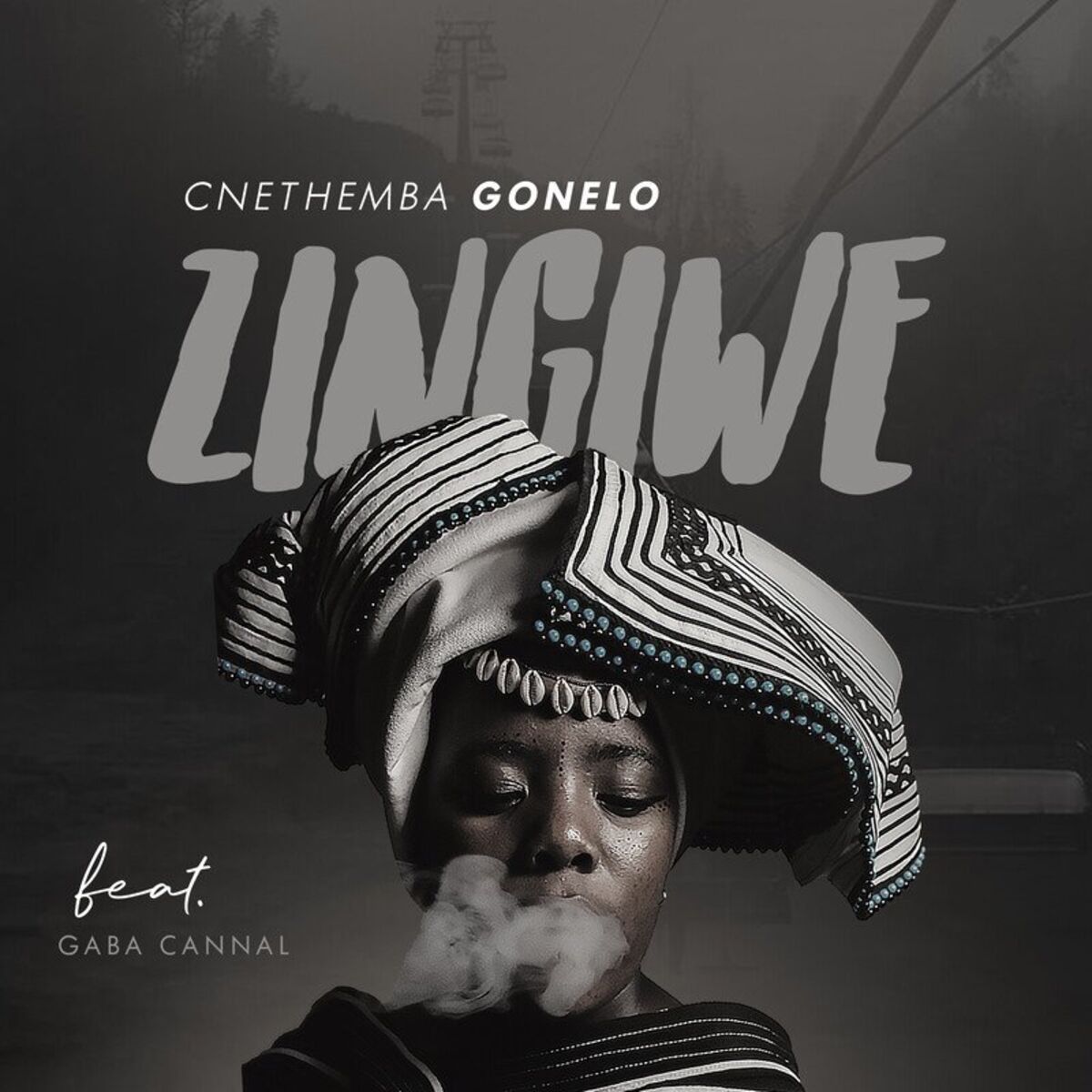 Album cover of Zingiwe