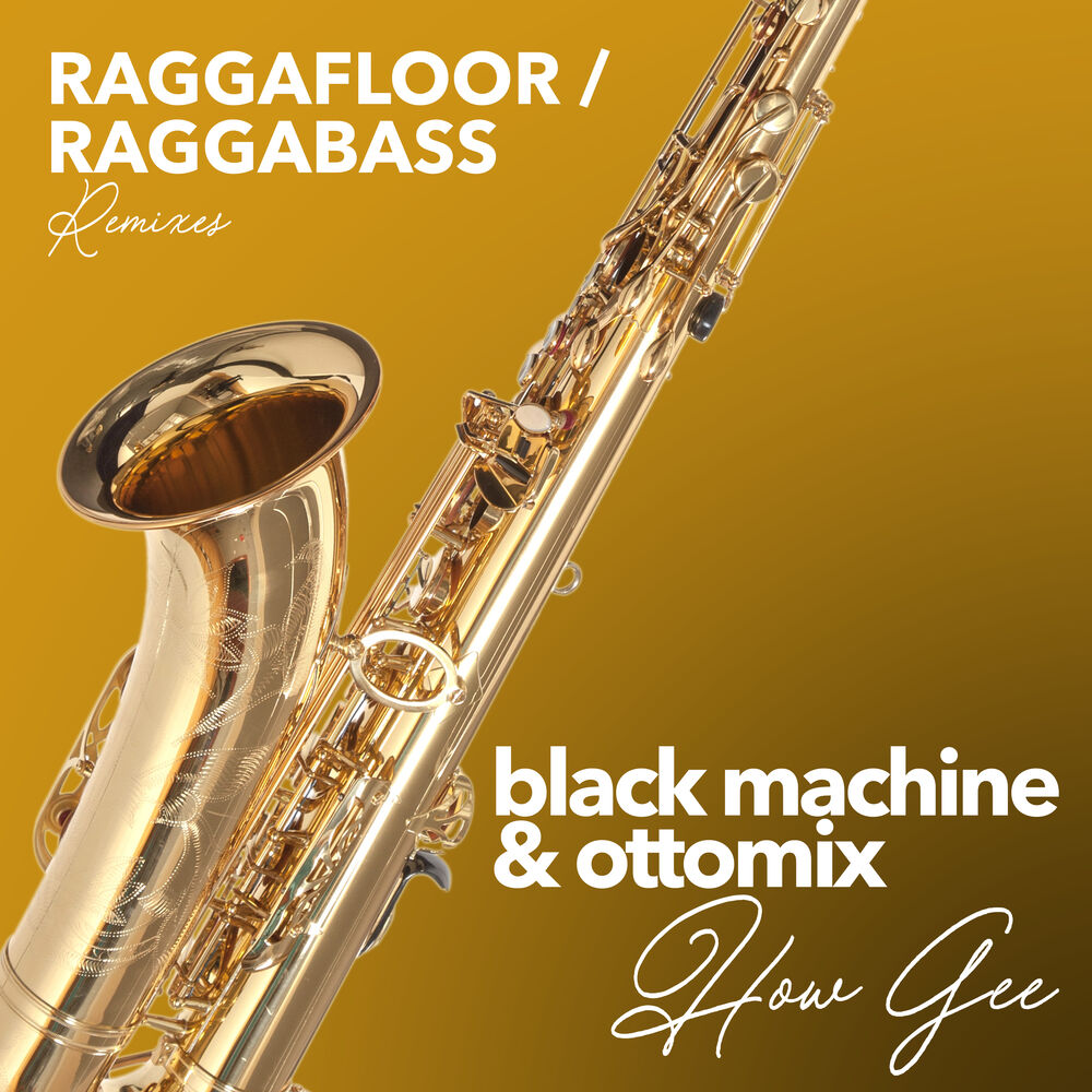 Picture of How Gee (Raggafloor / Raggabass Remixes)