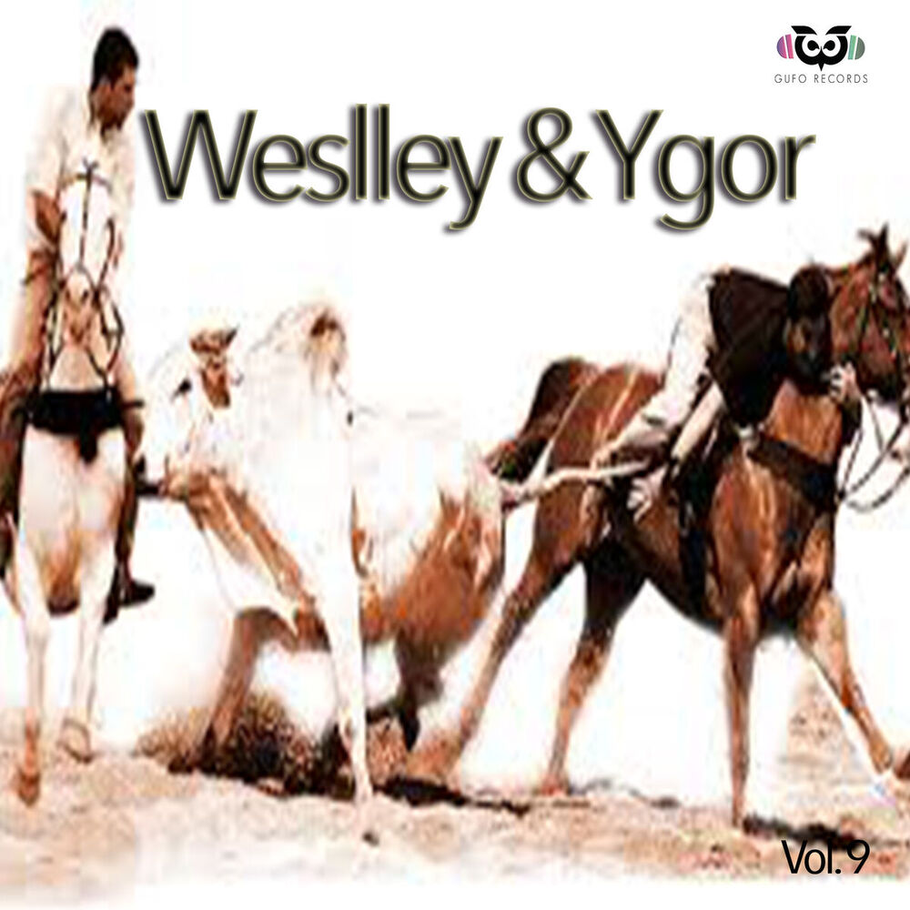 Picture of Weslley & Ygor VOL. 9