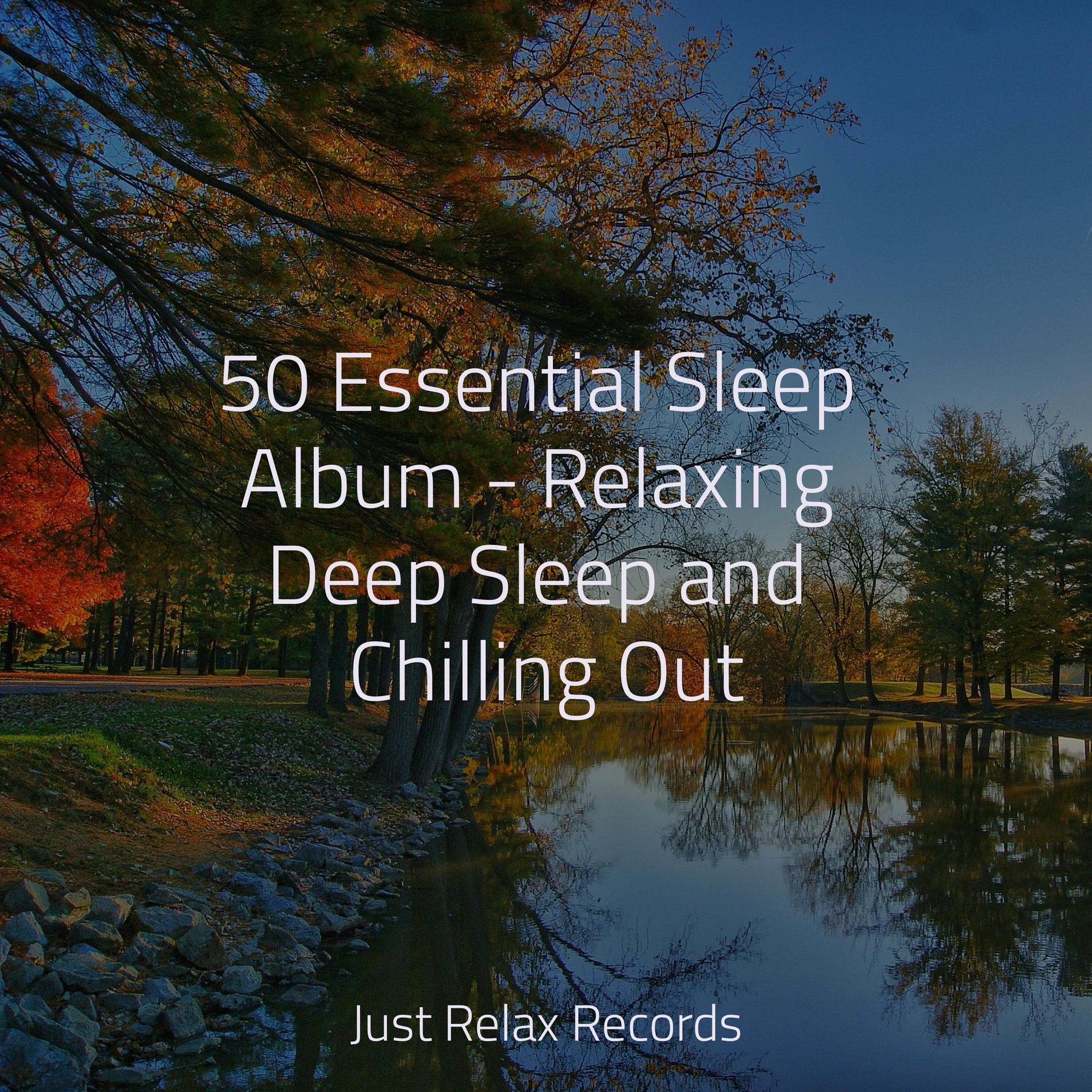 Album cover of 50 Essential Sleep Album - Relaxing Deep Sleep and Chilling Out